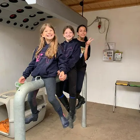 Ferienblockhaus 2 Hoelle *
